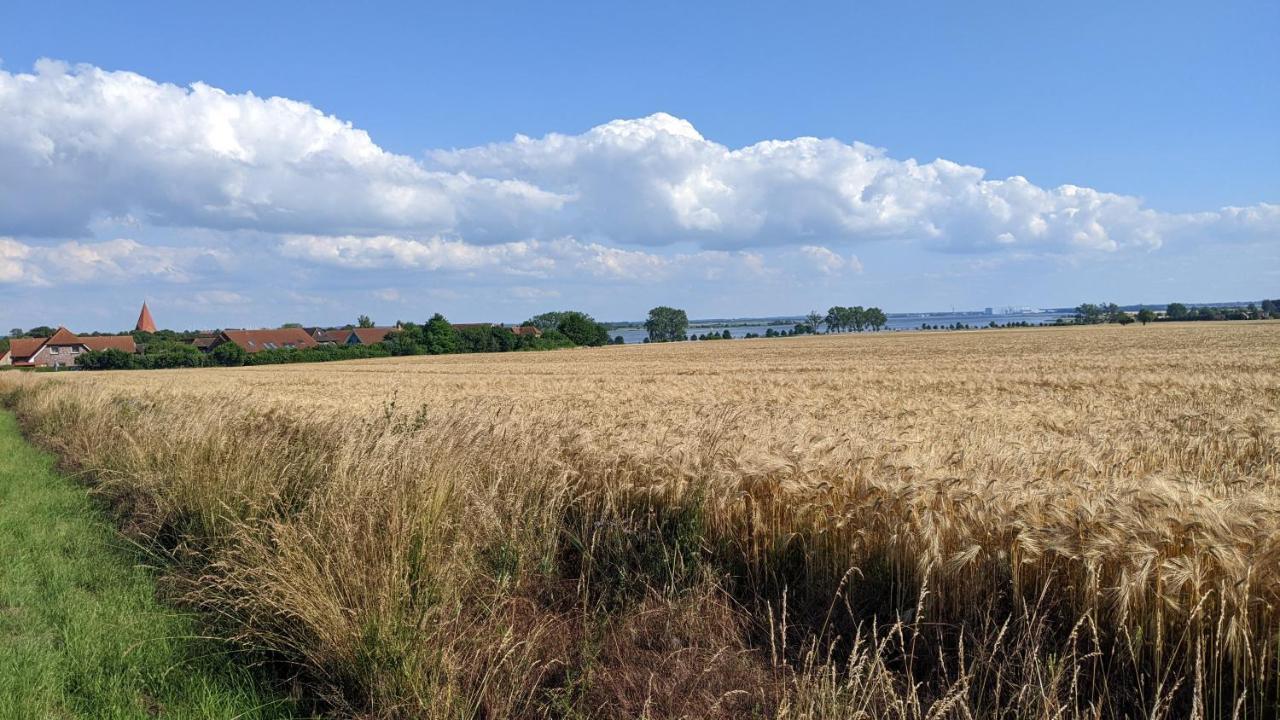 Ferien Auf Der Insel Poel Διαμέρισμα Kirchdorf  Εξωτερικό φωτογραφία